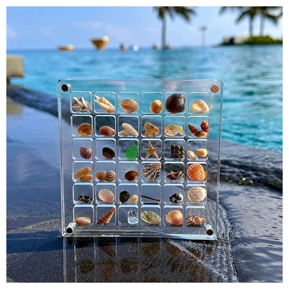 36 64 Grids Seashell Display Box Acrylic Magnetic Seashell Display Case Organize