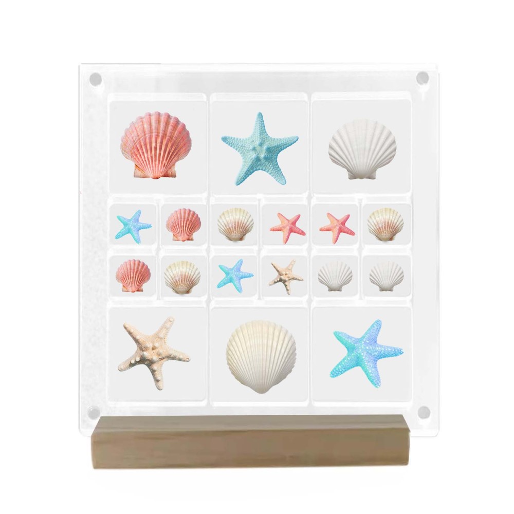 Acrylic Magnetic Seashell Display Box Craft Organizers Crystals Storage Clear